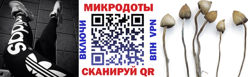 Купить  Александровское  Псилоцибиновые грибы Cubensis 